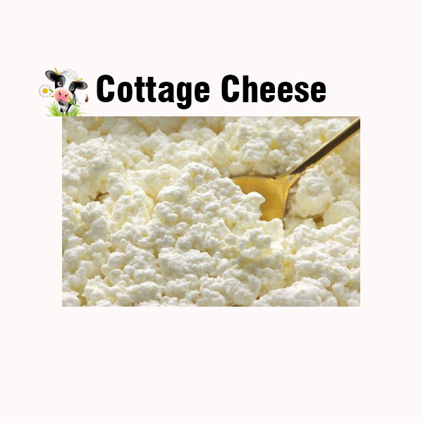 Cottage cheese nutrition facts ihcare