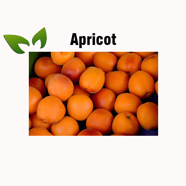 Apricot nutrition facts