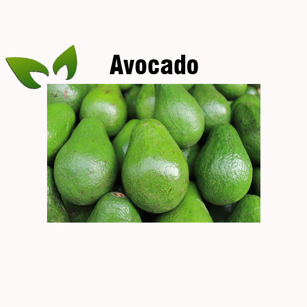 Avocado nutrition facts