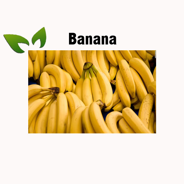Banana nutrition facts