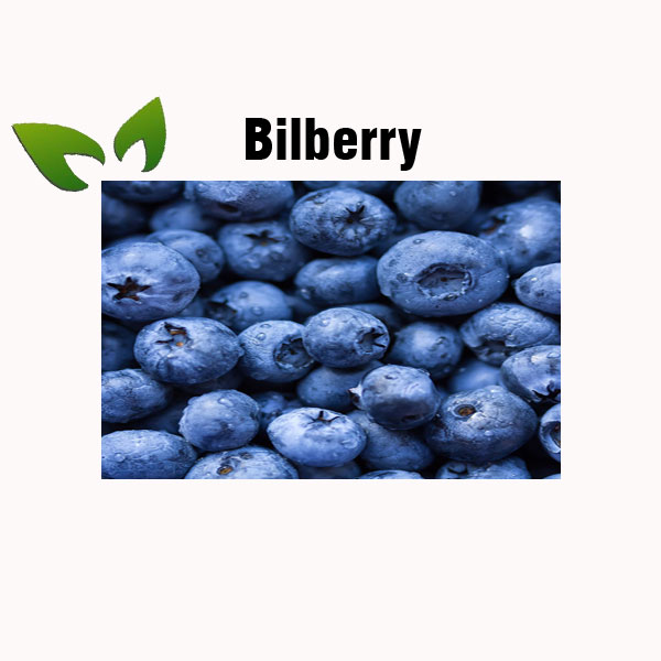 Bilberry nutrition facts