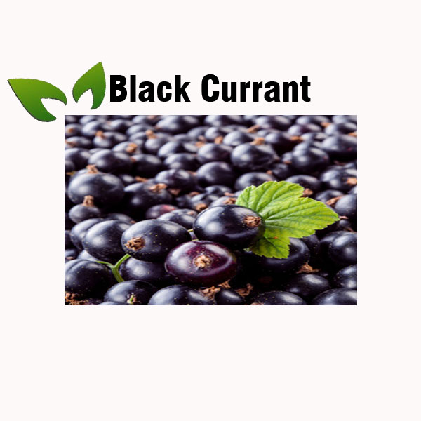 Black currant nutrition facts