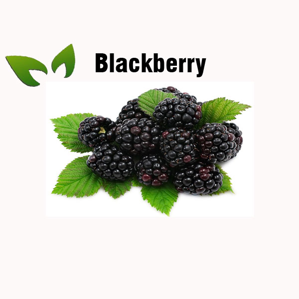 Blackberry nutrition facts