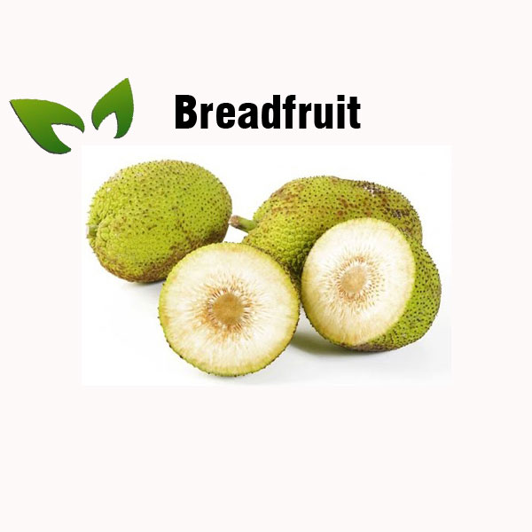 Breadfruit nutrition facts