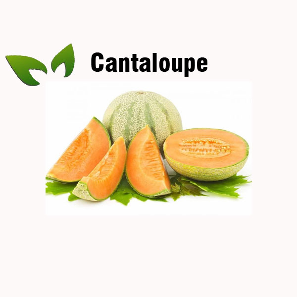 Cantaloupe nutrition facts