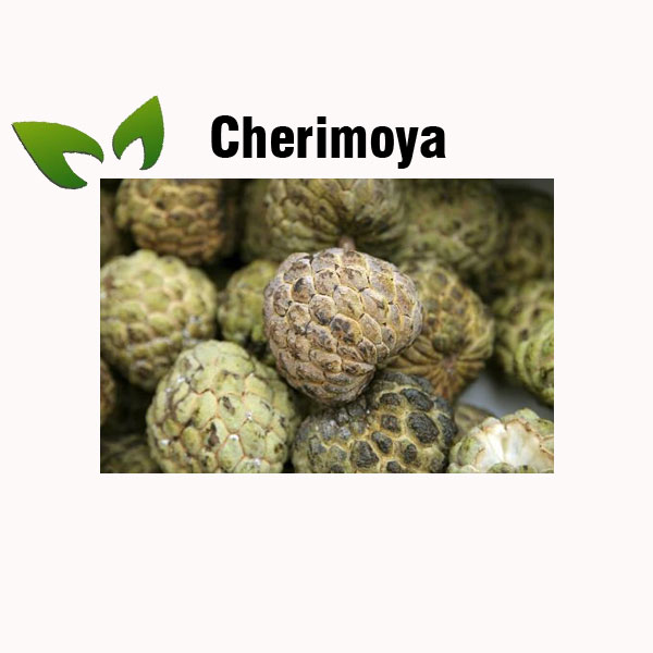 Cherimoya nutrition facts