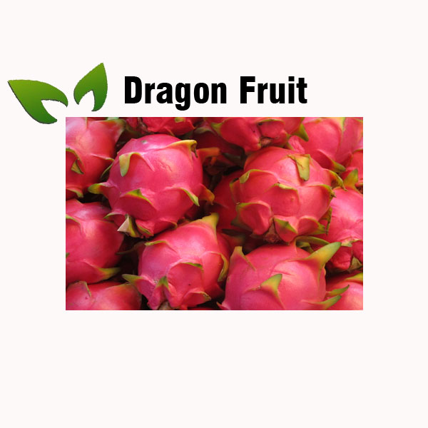 Dragon fruit nutrition facts