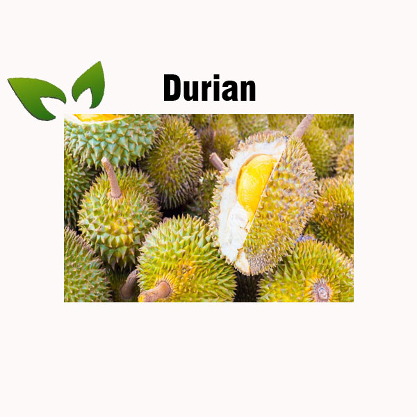 Durian nutrition facts