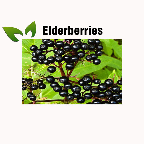 Elderberries nutrition facts