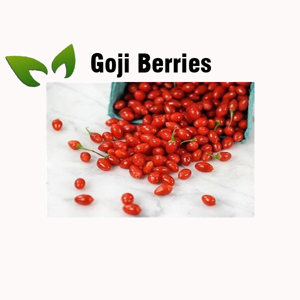 Goji berries nutrition facts