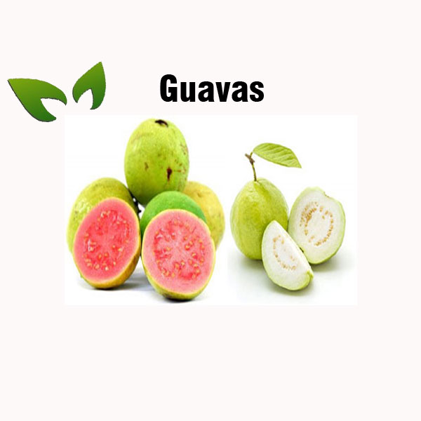 Guavas nutrition facts