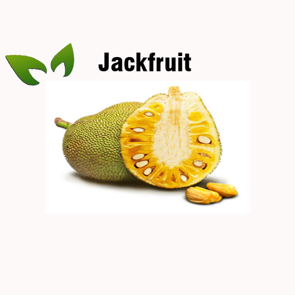 Jackfruit nutrition facts