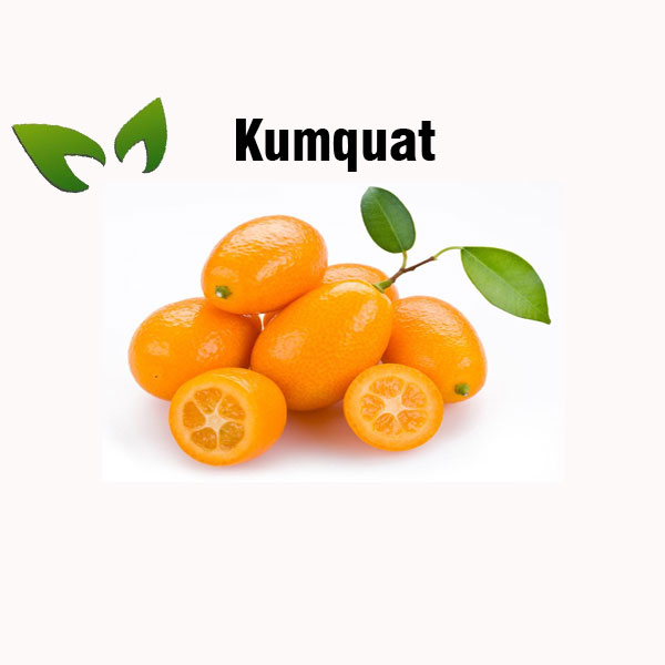 Kumquat nutrition facts