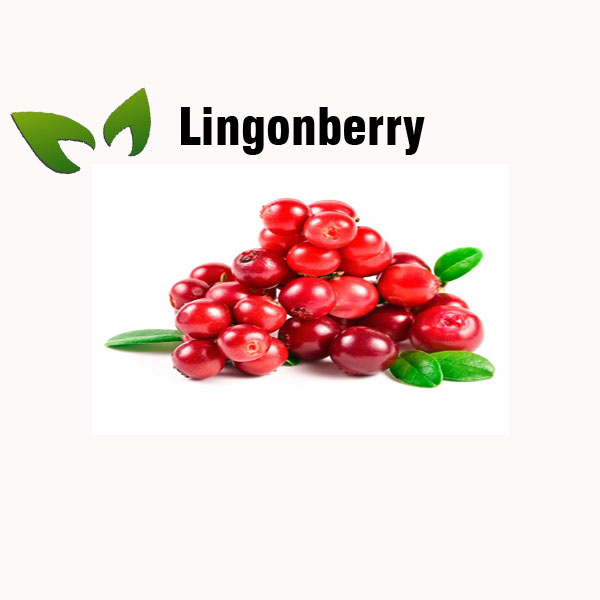 Lingonberry nutrition facts