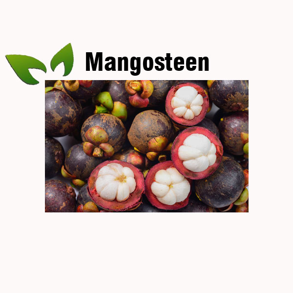 Mangosteen nutrition facts