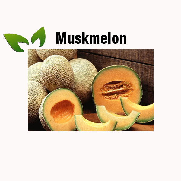 Muskmelon nutrition facts