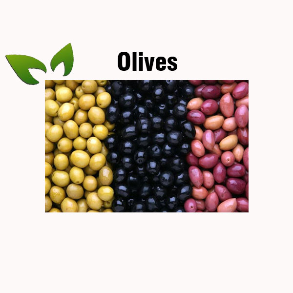 Olives nutrition facts