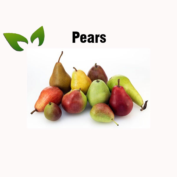 Pears nutrition facts