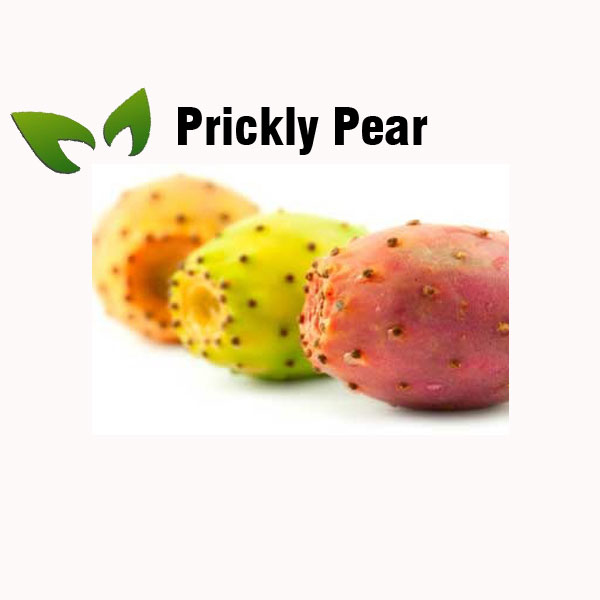 Prickly pear nutrition facts