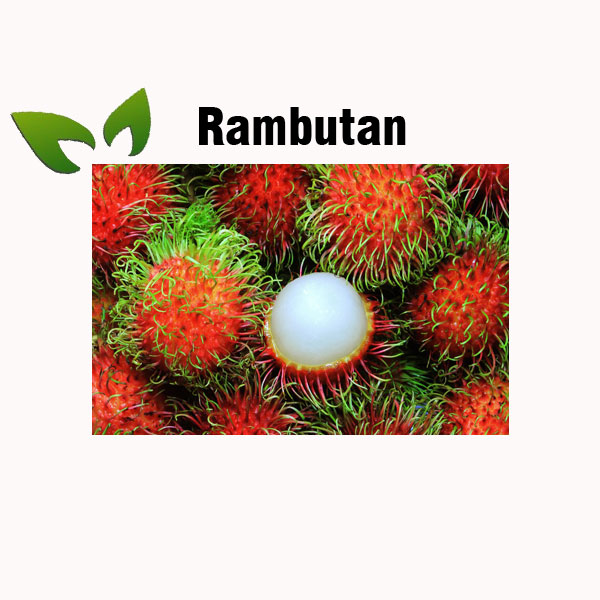 Rambutan nutrition facts