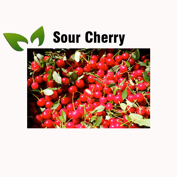 Sour cherry nutrition facts