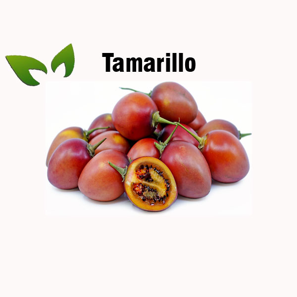 Tamarillo nutrition facts