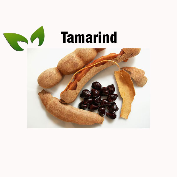 Tamarind nutrition facts