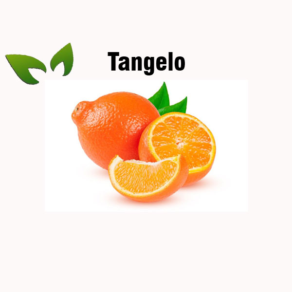 Tangelo nutrition facts