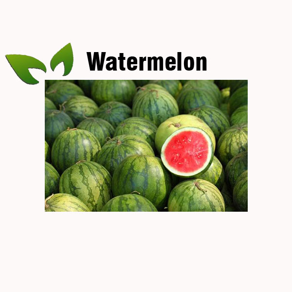 Watermelon nutrition facts