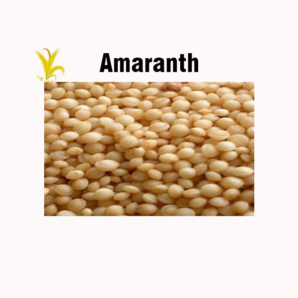 Amaranth nutrition facts