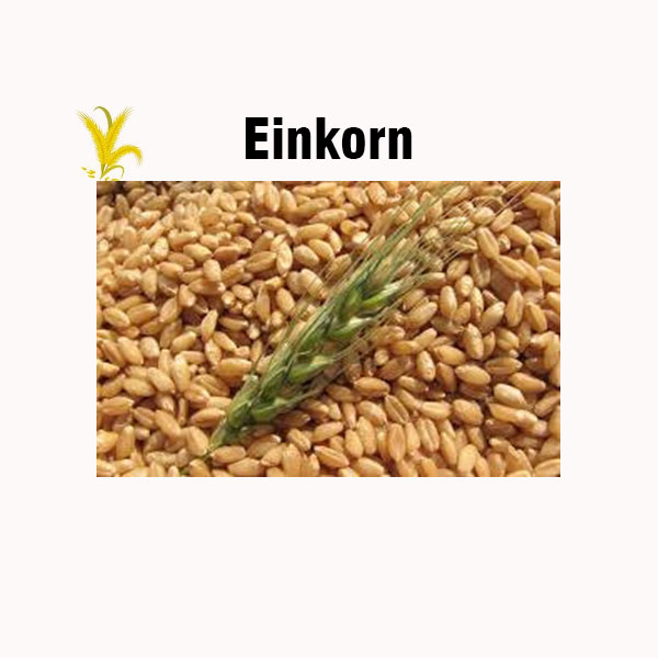 Einkorn nutrition facts