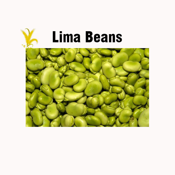 Lima beans nutrition facts