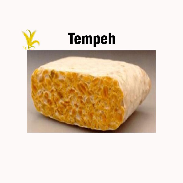 Tempeh nutrition facts
