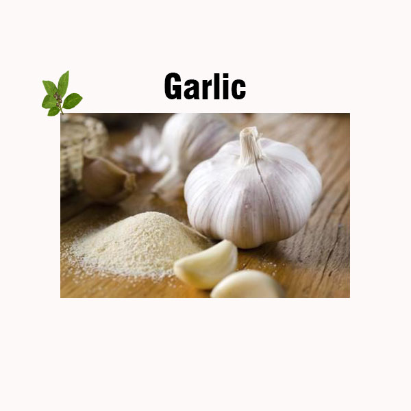 Garlic nutrition facts