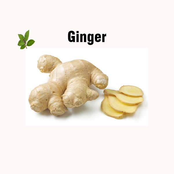 Ginger nutrition facts