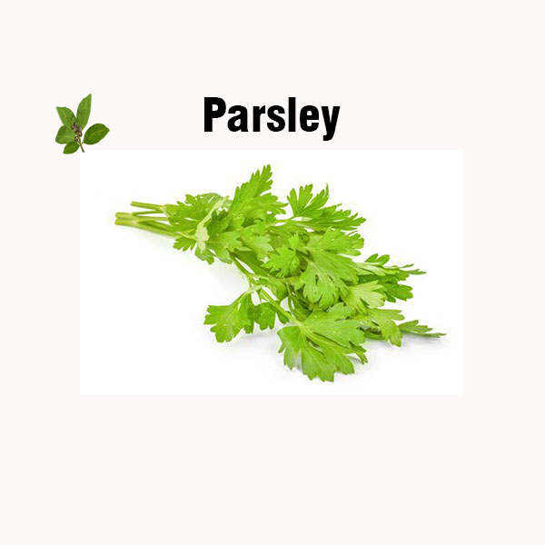 Parsley nutrition facts