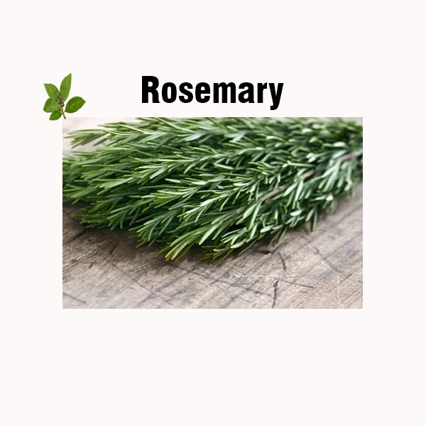 Rosemary nutrition facts