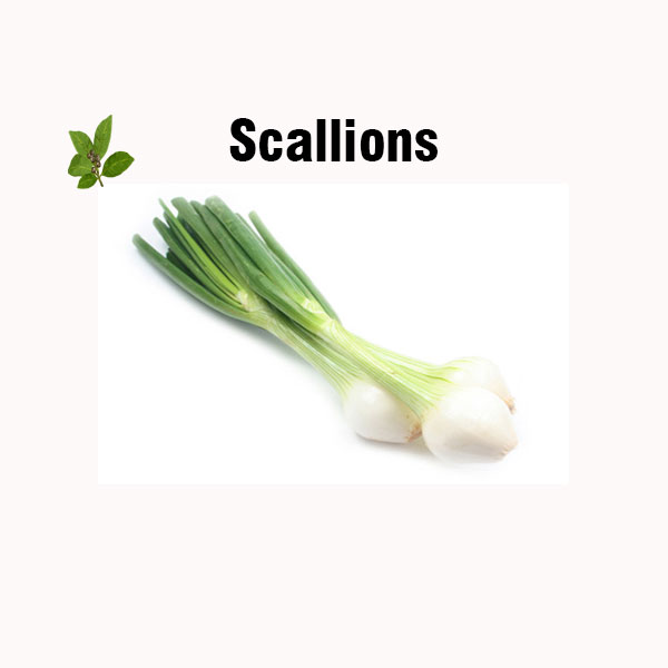 Scallions nutrition facts