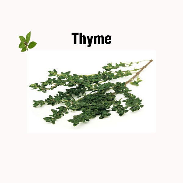 Thyme nutrition facts