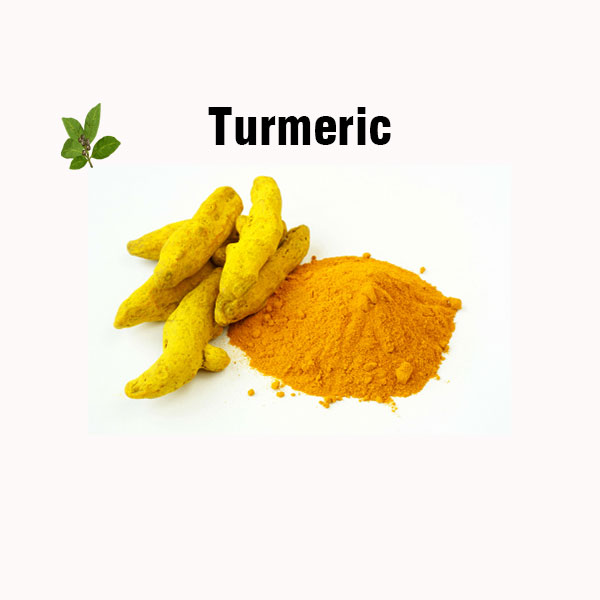 Turmeric nutrition facts