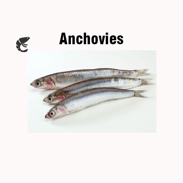Anchovies nutrition facts