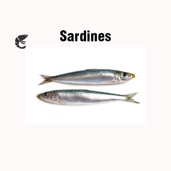 Sardines nutrition facts