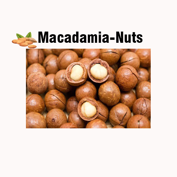 Macadamia nuts nutrition facts