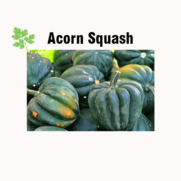 Acorn squash nutrition facts