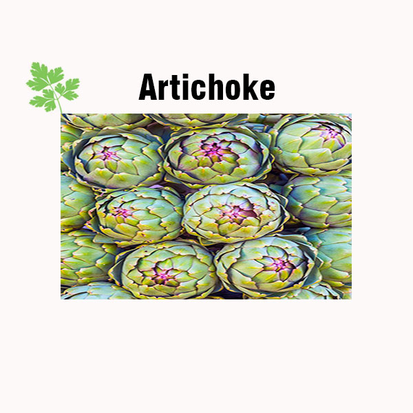 Artichoke nutrition facts