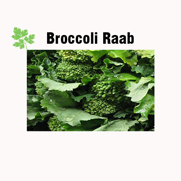 Broccoli raab nutrition facts