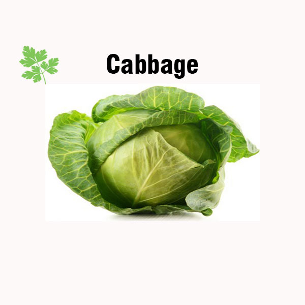 Cabbage nutrition facts