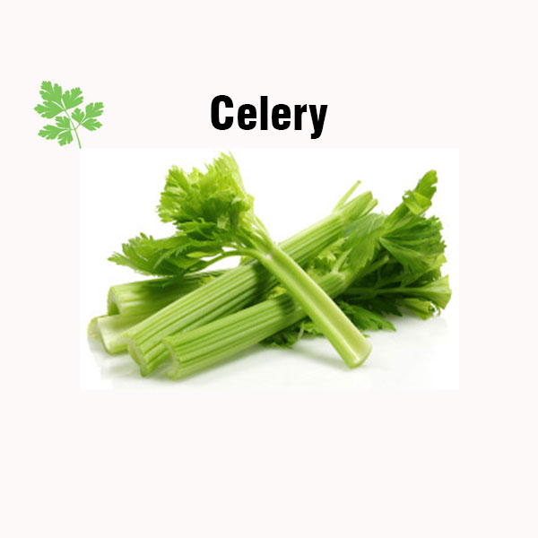 Celery nutrition facts