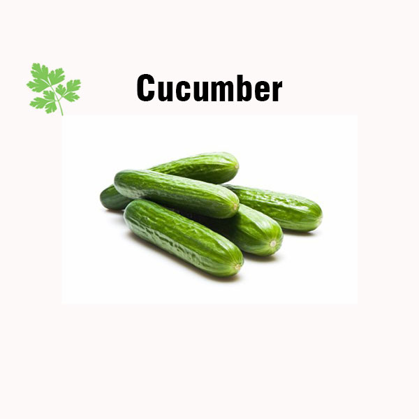 Cucumber nutrition facts