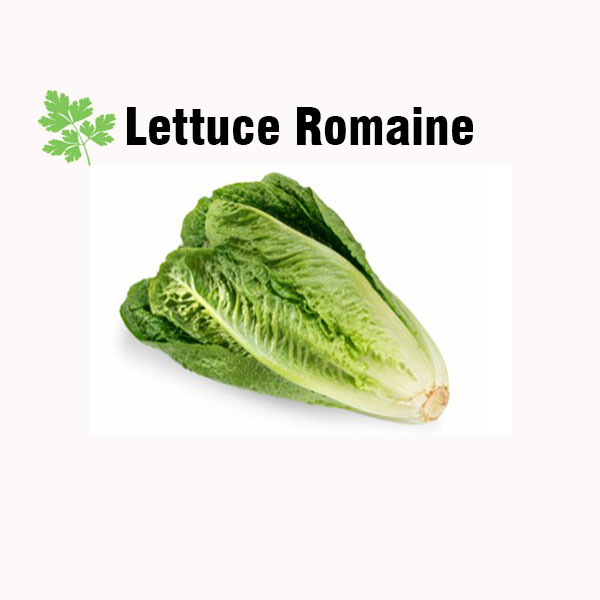 Lettuce romaine nutrition facts